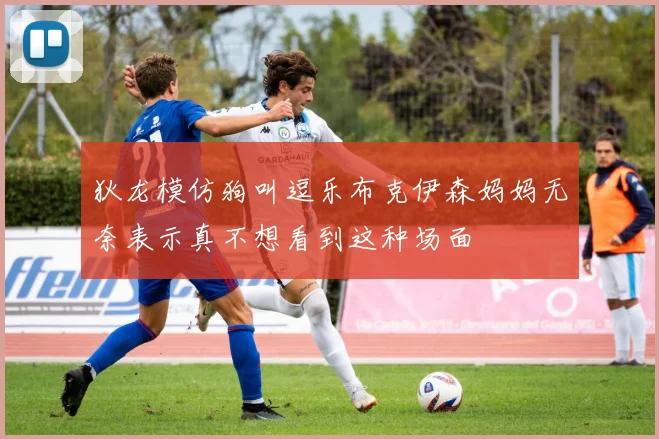 狄龙模仿狗叫逗乐布克伊森妈妈无奈表示真不想看到这种场面