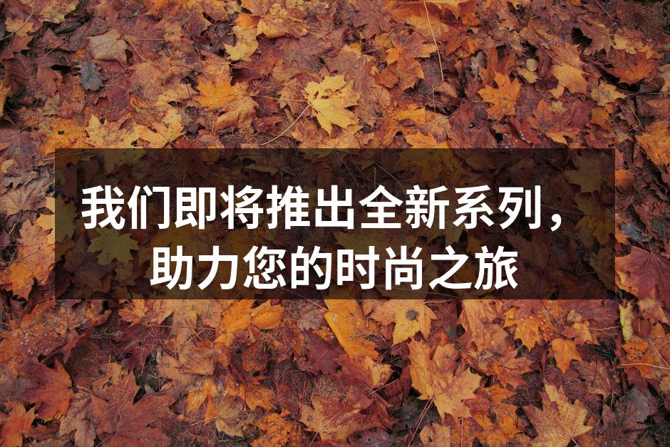 新系列服饰，展现现代时尚气息